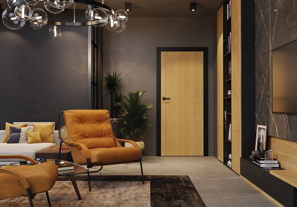 Interior door inspiration 2
